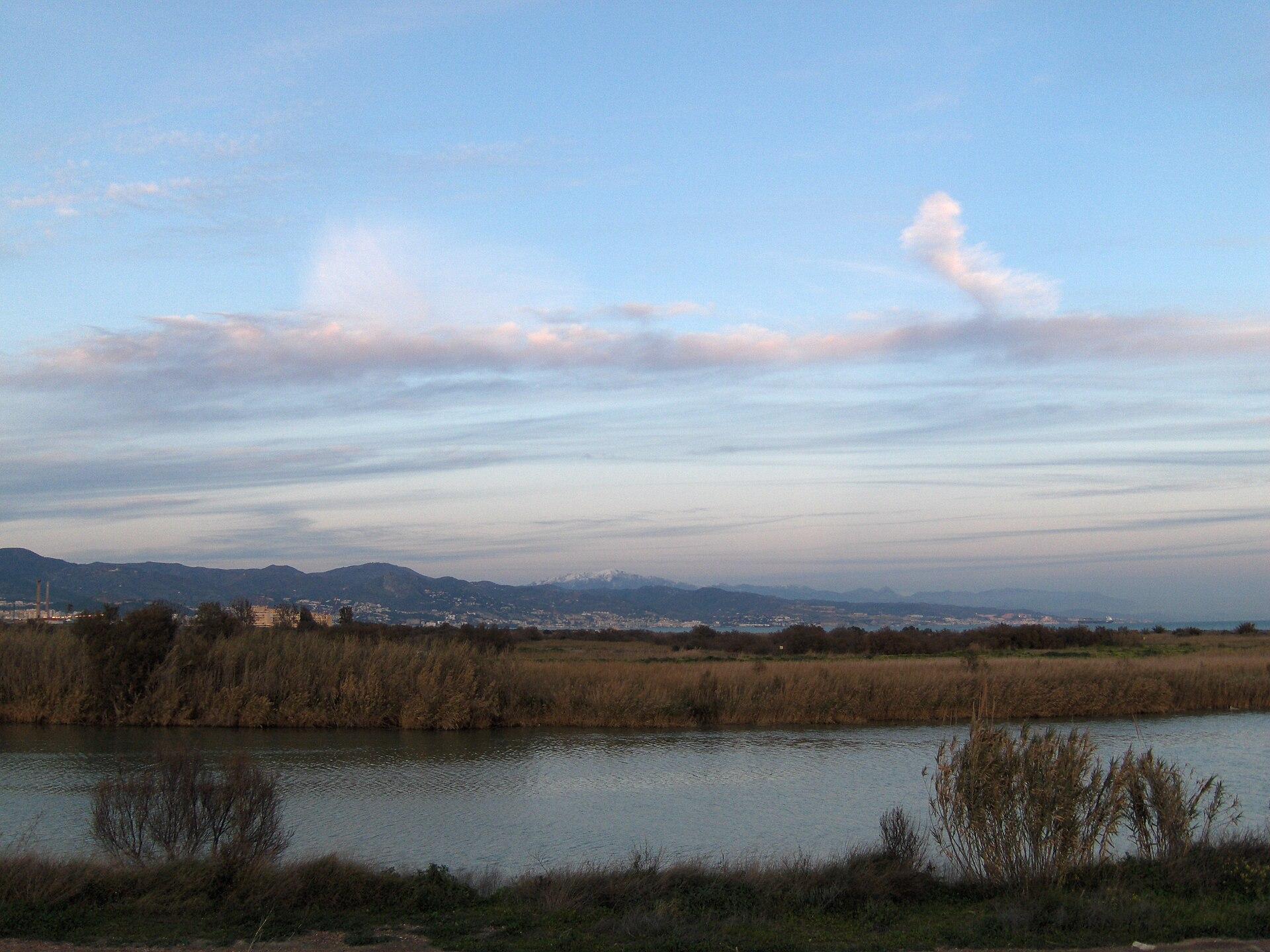 Paraje Natural Desembocadura del Guadalhorce